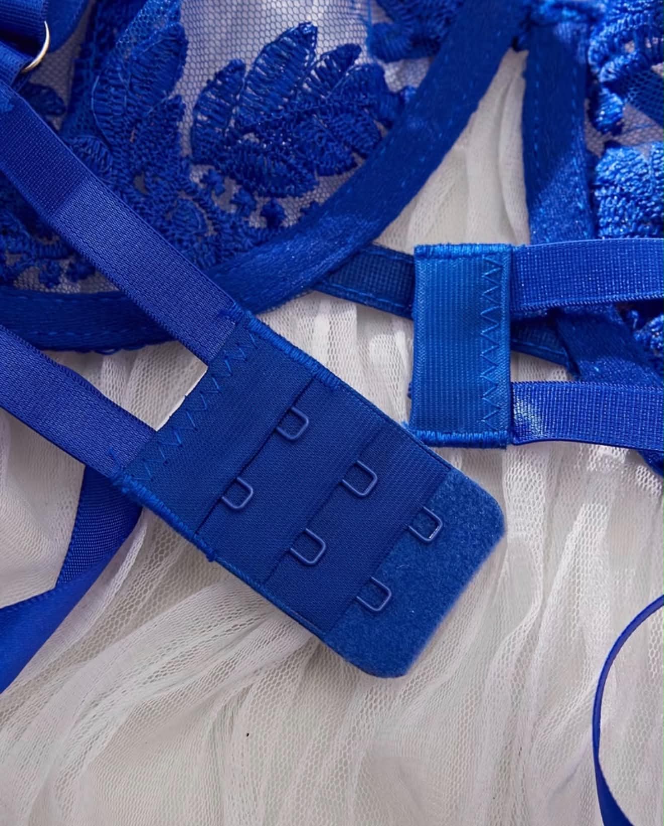 Ensemble blueberry